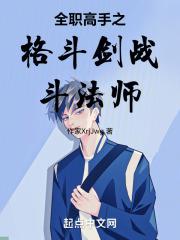 全职高手格斗系