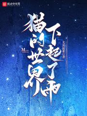 猫的世界下起了雨尤其温柔