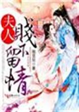 夫人请手心留情免费阅读