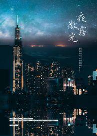 微光夜视仪是什么